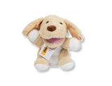 Puppet (language specific)