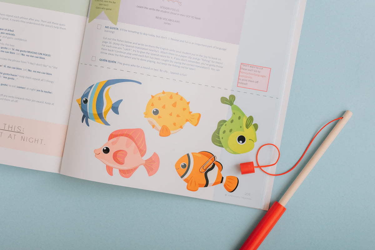 HOMESCHOOL SPANISH CURRICULUM: Level 2 - PHYSICAL SET image 3