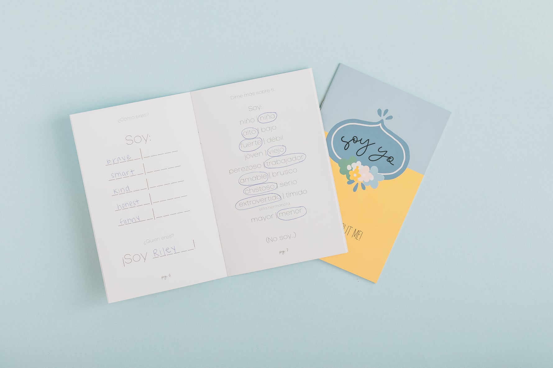 HOMESCHOOL SPANISH CURRICULUM: Level 2 - PHYSICAL SET image 1